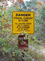 Herring Run IMG 4200